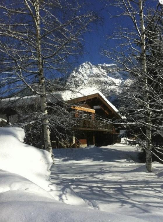Chalet Champraz - Free Parking Chamonix Exterior photo