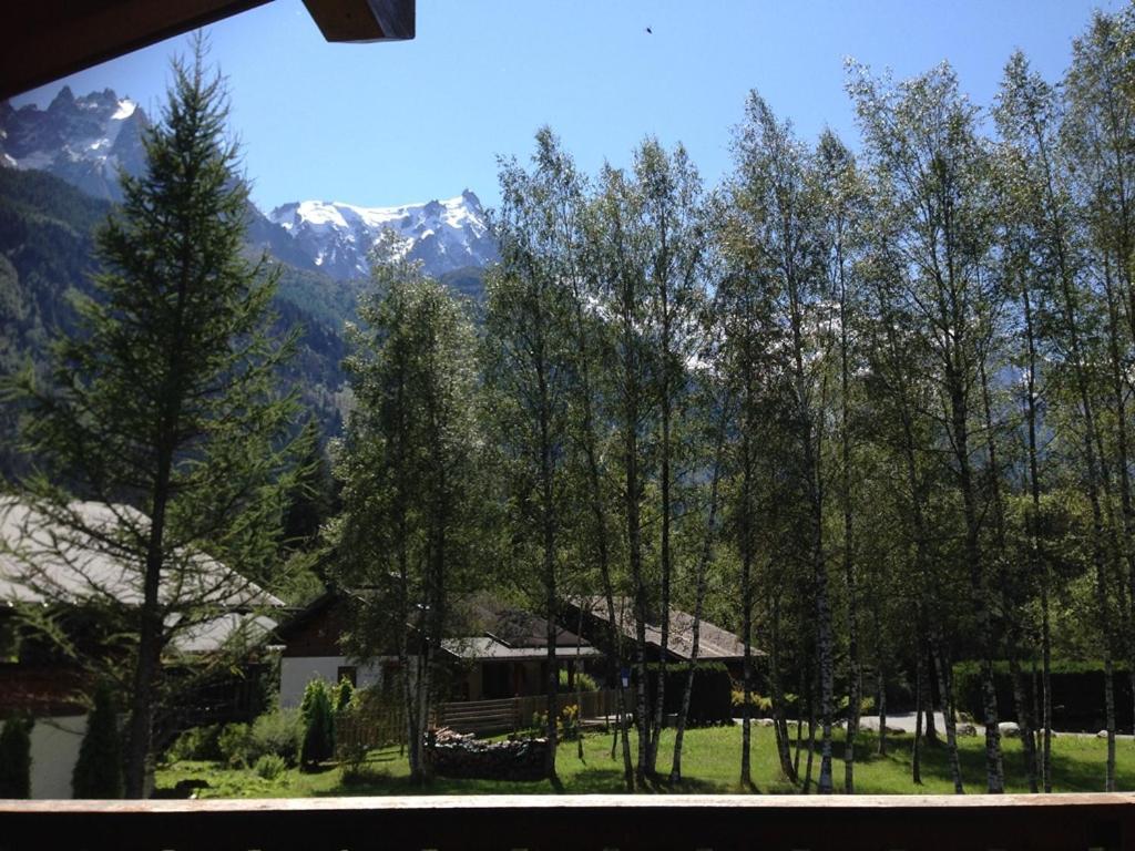 Chalet Champraz - Free Parking Chamonix Exterior photo